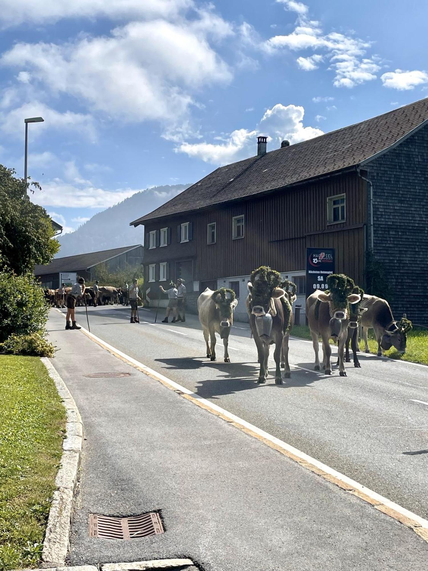 Appartement Zu Gast Bei Den Hagspiels à Hittisau Extérieur photo